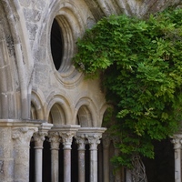Photo de France - Abbaye de Fontfroide